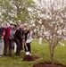 ANC celebrates Arbor Day with tree planting
