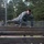 Soldier clears obstacles Soldier clears obstacles
