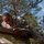 Soldier enjoys obstacle course Soldier enjoys obstacle course