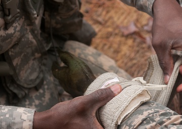 2016 Best Warrior Competition