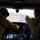 Wildland Firefighting Exercise 2016