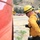 Wildland Firefighting Exercise 2016