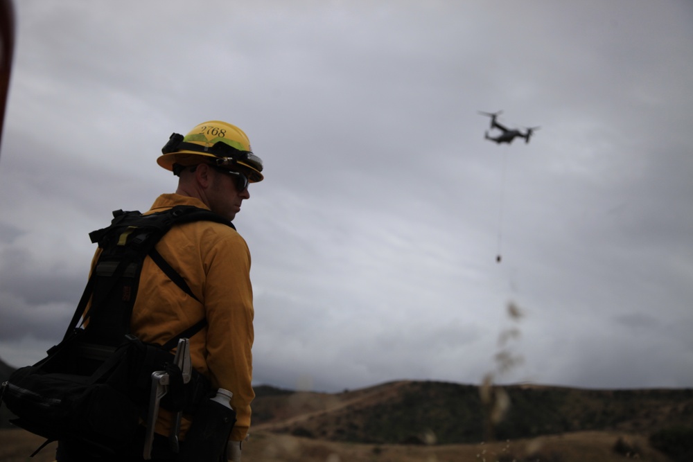 Wildland Firefighting Exercise 2016