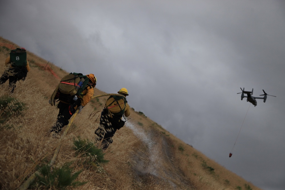 Wildland Firefighting Exercise 2016