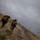 Wildland Firefighting Exercise 2016