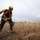 Wildland Firefighting Exercise 2016