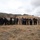 Wildland Firefighting Exercise 2016
