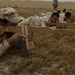 Iraqi soldiers conduct individual movement training