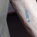 Holocaust Survivor