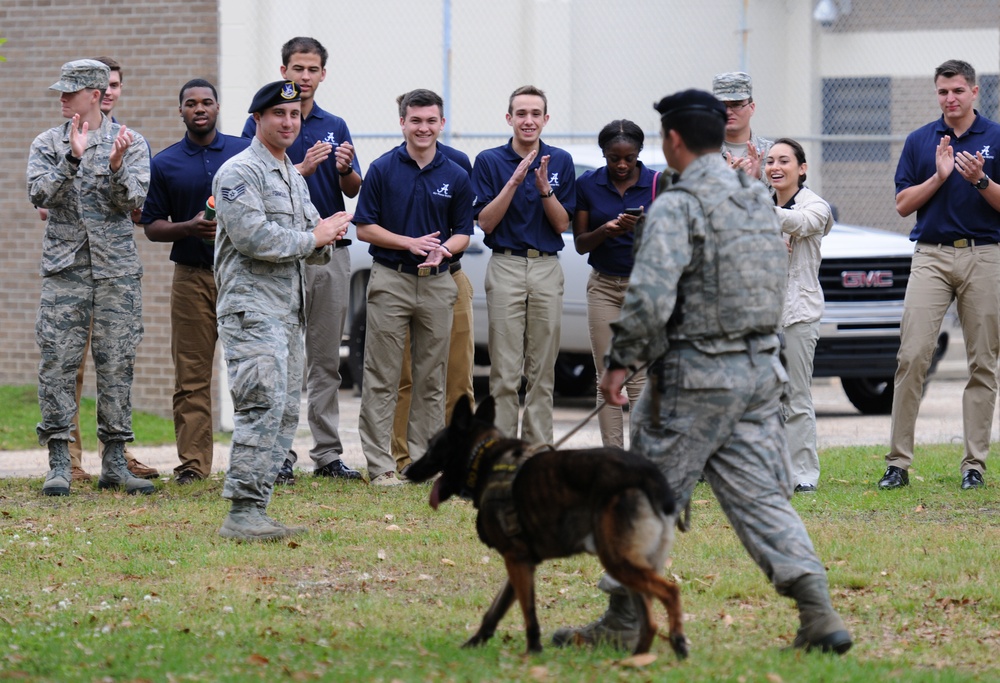 Pathways to Blue shows ROTC cadets the way
