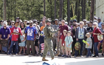 Box Tour and Tiger Land display brings past and present together