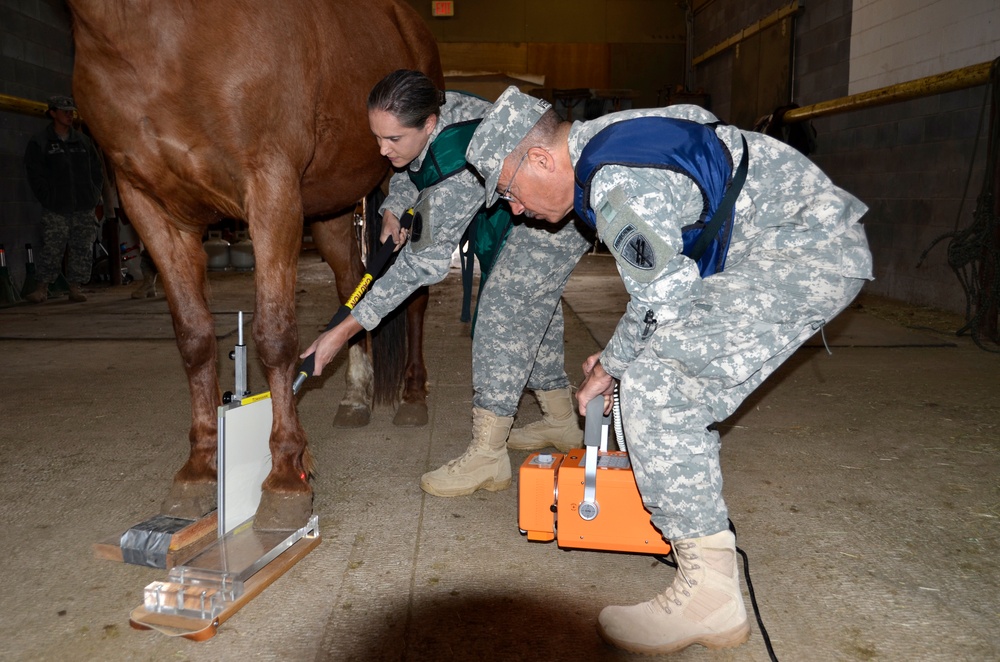 Civil Affairs Command Veterinary Training Conference