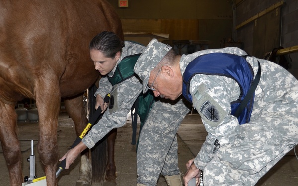 Civil Affairs Command Veterinary Training Conference