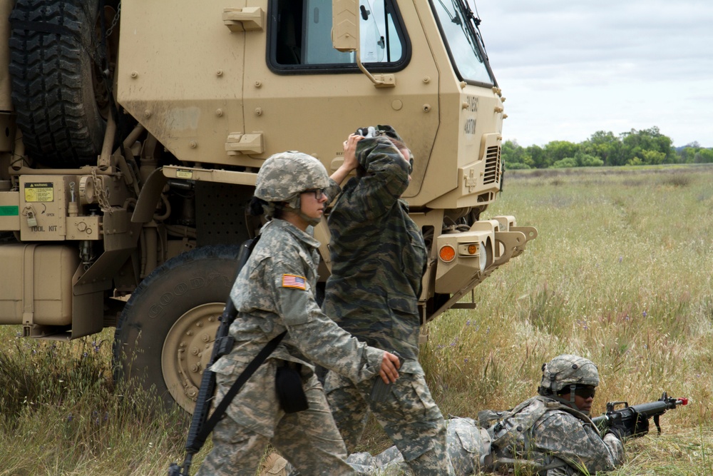 238th TC TAA training