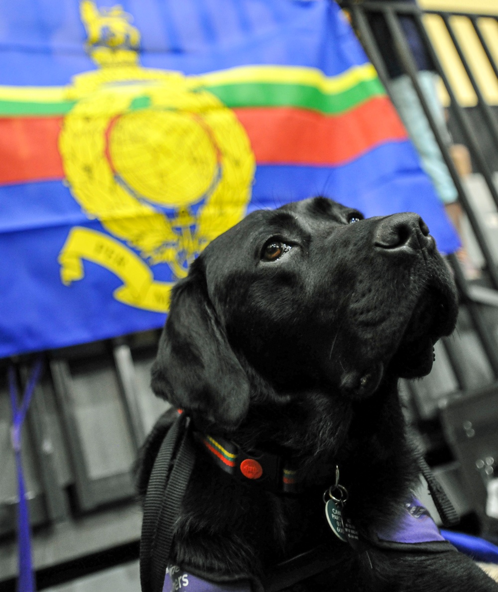 'I AM' Aiming and Supporting My Country: Archery Preliminaries at 2016 Invictus Games