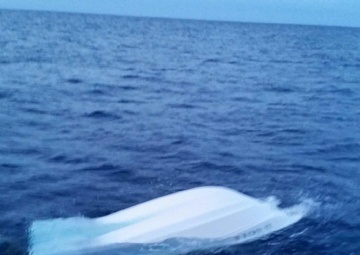 Coast Guard rescues 3 from capsized vessel near Port Allen, Kauai