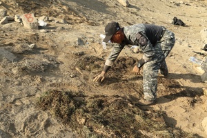 220811 AFN News - AF integrated response co-location pilot program and Summer Blitz
