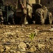 How Marines Reshape the Earth in Korea