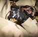 U.S. Marines prepare against chemical threats with CBRN training drills