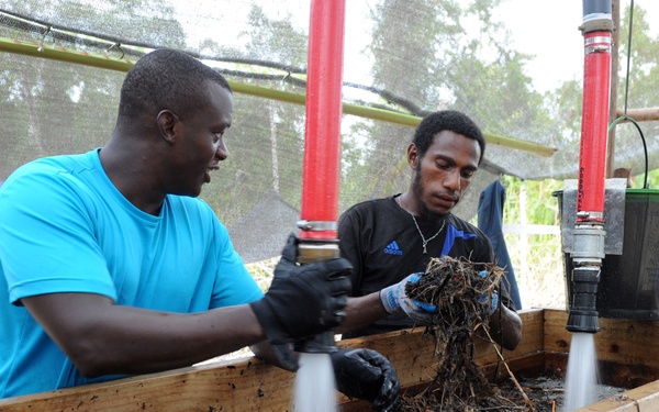 DPAA Bringing Home the Fallen from PNG