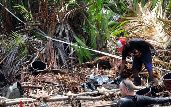 DPAA Bringing Home the Fallen from PNG