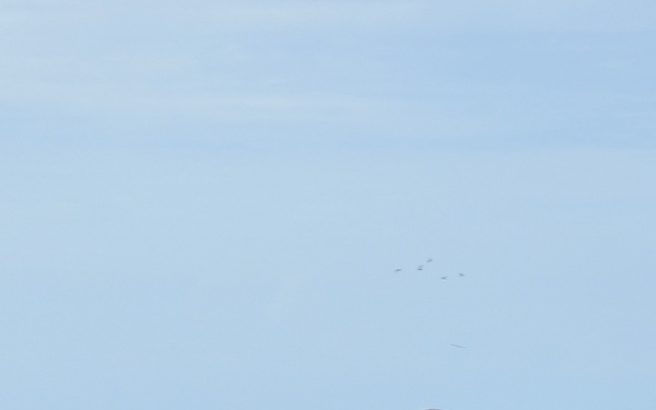 JSF F-35 at NAS Key West