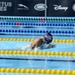 Invictus Games 2016:  Swimming Finals