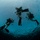 CTG 56.1 Conducts AT/FP Dives In The Gulf Of Aqaba, Jordan During Exercise Eager Lion 2016