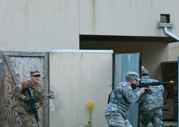 Realistic Training for Military Police