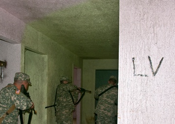 Realistic Training for Military Police