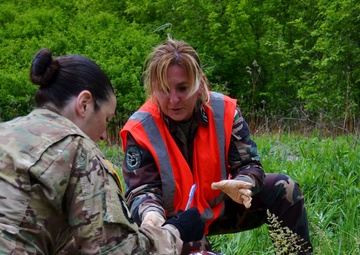 Mass casualty exercise provides realistic training for Hungarian, American medical teams