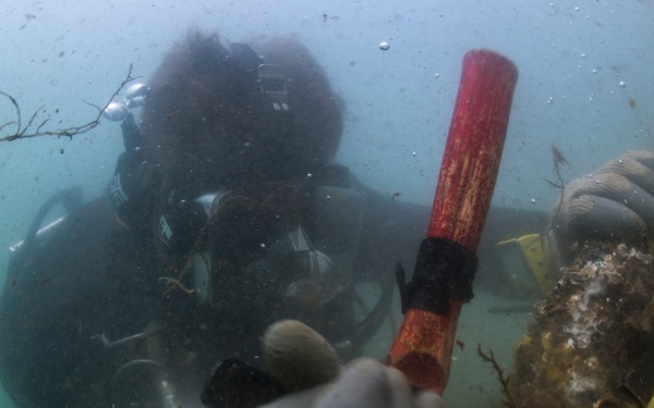 UCT 2 in Pearl Harbor