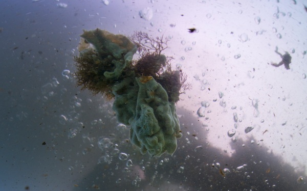 UCT 2 in Pearl Harbor