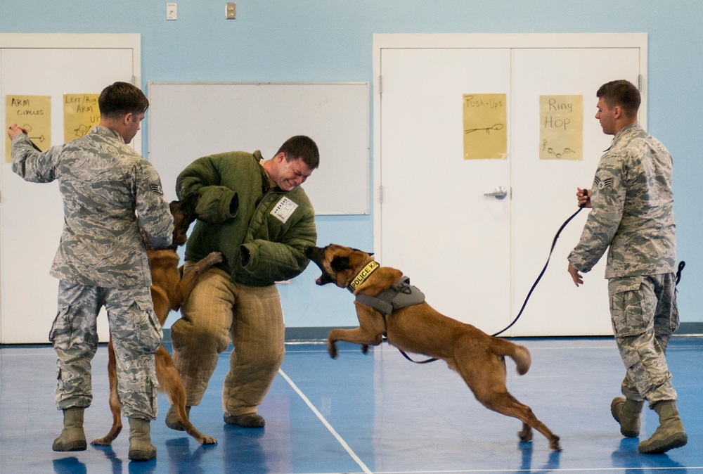 K-9 demonstration for kids