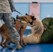 K-9 demonstration for kids