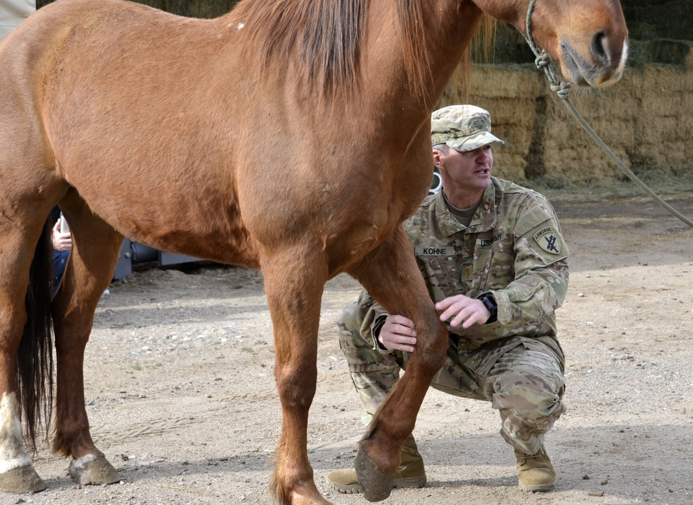 Army Civil Affairs Veterinarians Train at Marine Corps Mountain Warfare Training Center