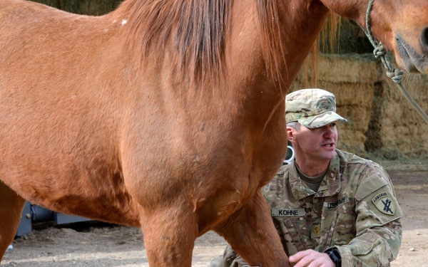 Army Civil Affairs Veterinarians Train at Marine Corps Mountain Warfare Training Center