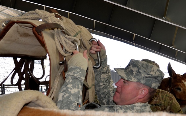 Army Civil Affairs Veterinarians Train at Marine Corps Mountain Warfare Training Center