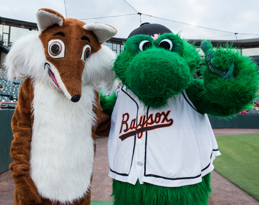 Bowie Baysox host Joint Base Andrews appreciation night