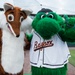 Bowie Baysox host Joint Base Andrews appreciation night