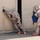 CBRN Demonstration
