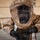 CBRN Demonstration