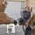 CBRN Demonstration