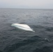 Coast Guard, good Samaritan rescue 4 from boat sinking off Salisbury Beach, MA