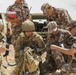 EagerLion16 Combined Live Fire Demonstration