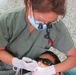 JTF-Bravo MEDEL completes pediatric dental operations in Honduran capital