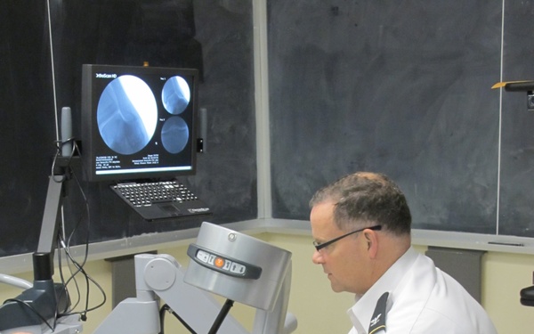 Physical Therapy (Ankle)