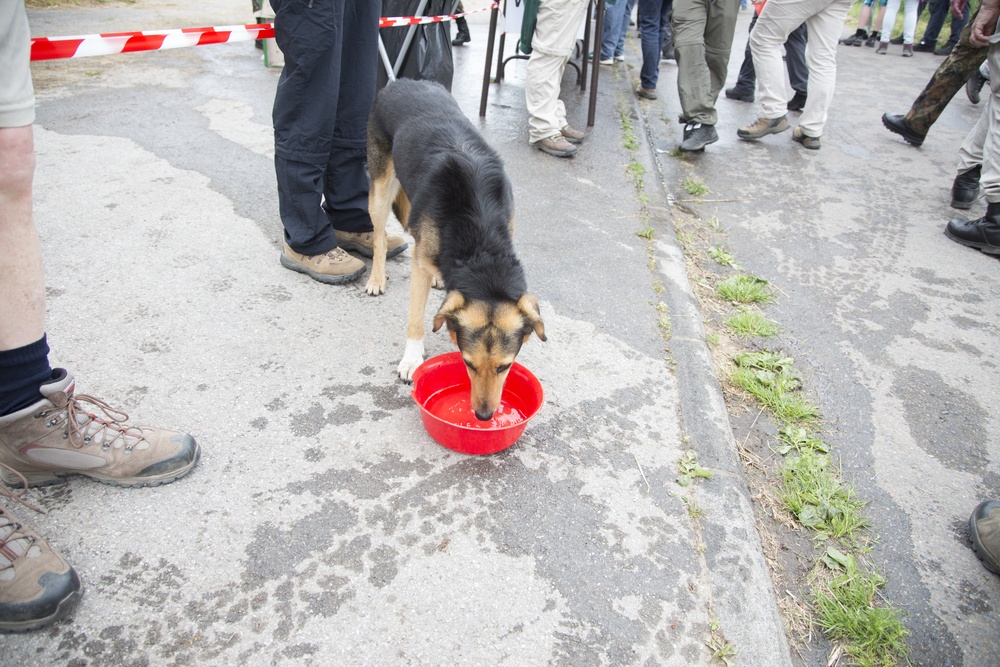 Marche Internationale de Diekirch