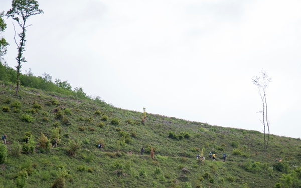 Marche Internationale de Diekirch