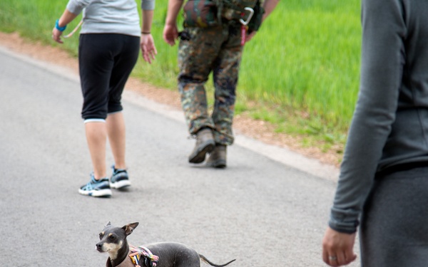 Marche Internationale de Diekirch